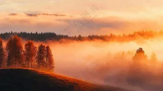 秋天风景夕阳日出云雾森林摄影图