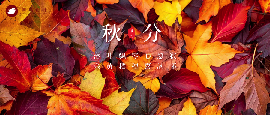 秋分公众号首图