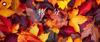 秋分公众号首图