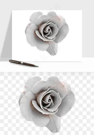 复古鲜花玫瑰png免抠