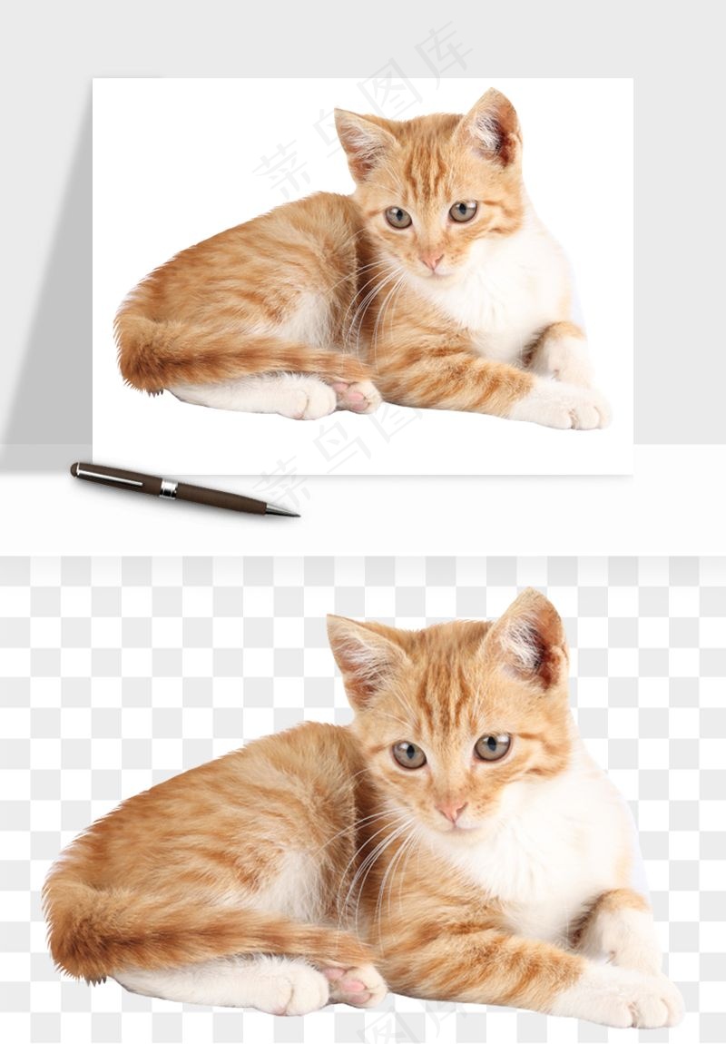 猫咪喵星人狗狗宠物元素png免抠