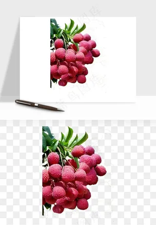 荔枝妃子笑水果png免抠