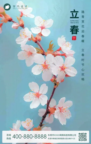 立春手机海报