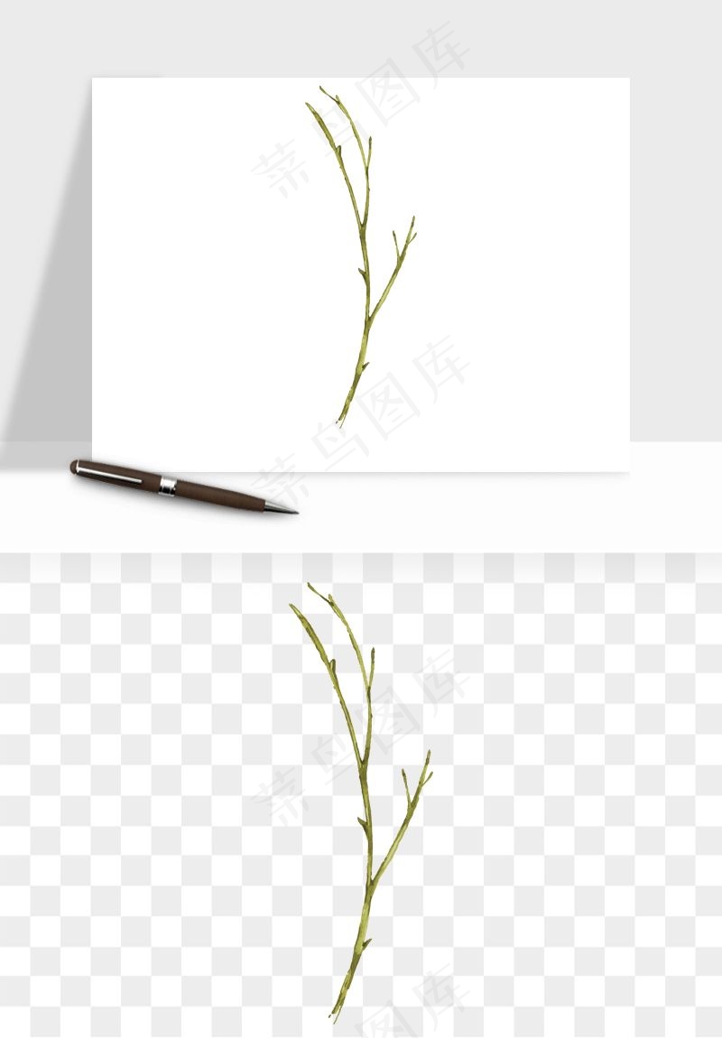 清新手绘植物png免抠