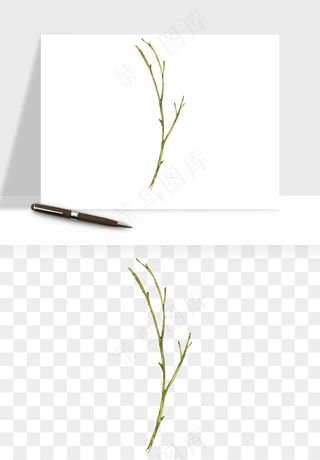 清新手绘植物png免抠