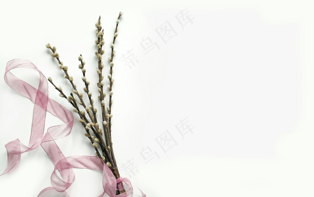 免费 白色背景上的绿色花束 素材图片
