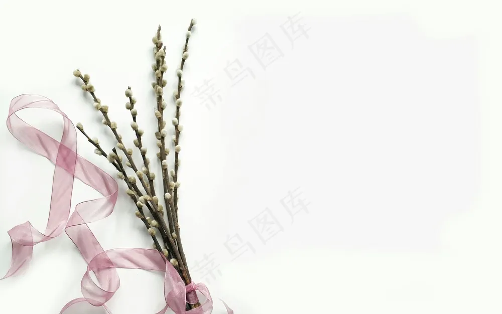 免费 白色背景上的绿色花束 素材图片