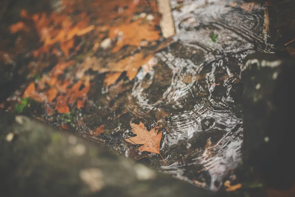 夜幕下的神秘光影 夜幕下的神秘光影