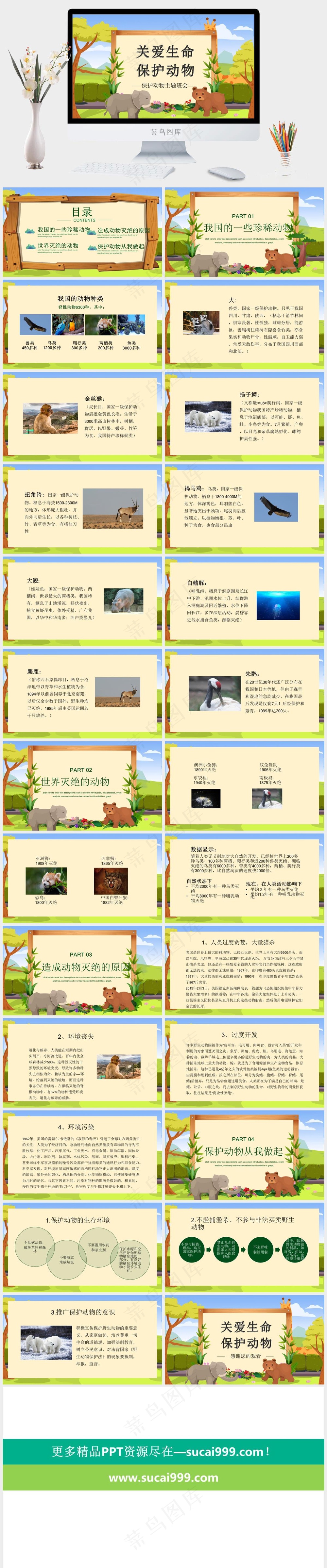 保护野生动物绿色环保PPT