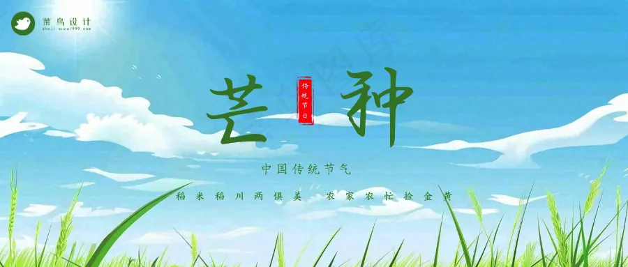 芒种公众号首图