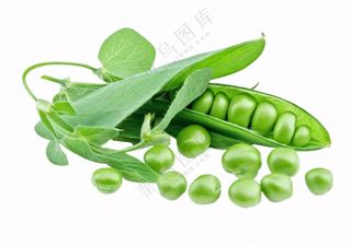 豌豆青豆蔬菜免抠