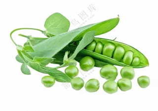 豌豆青豆蔬菜免抠