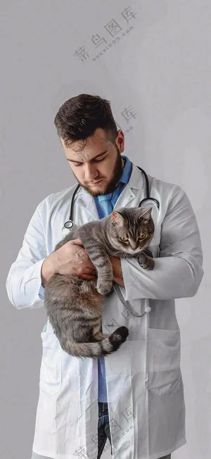 萌宠宠物医院医生抱着猫咪摄影图背景