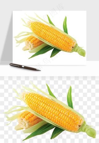 玉米带叶玉米png免抠
