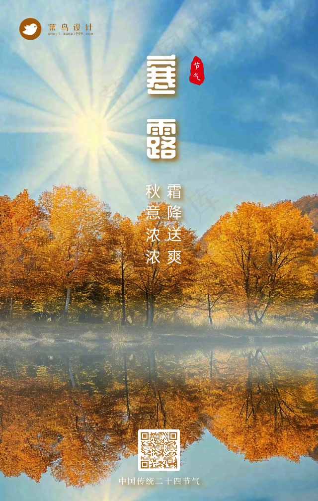 寒露手机海报