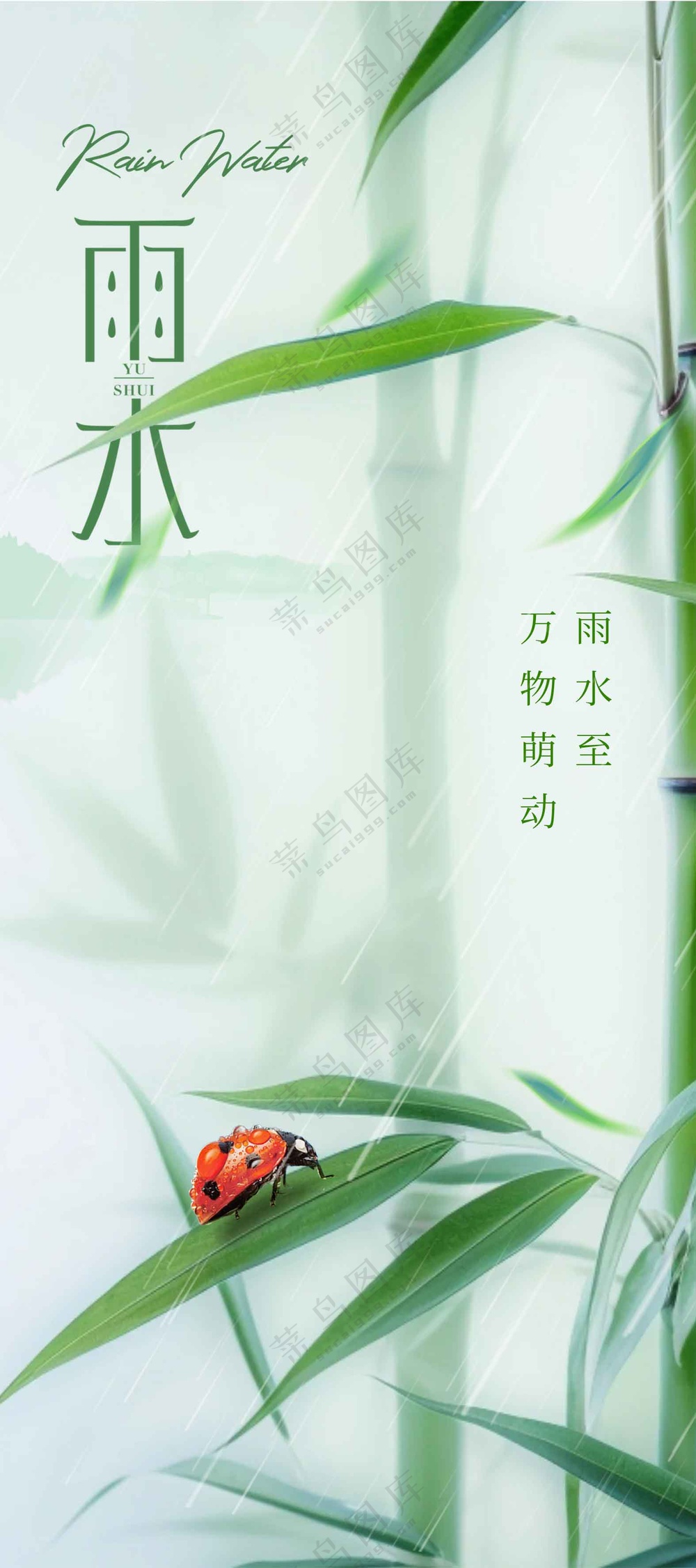 雨水节气传统海报