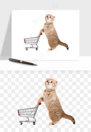 猫咪喵星人狗狗宠物元素png免抠