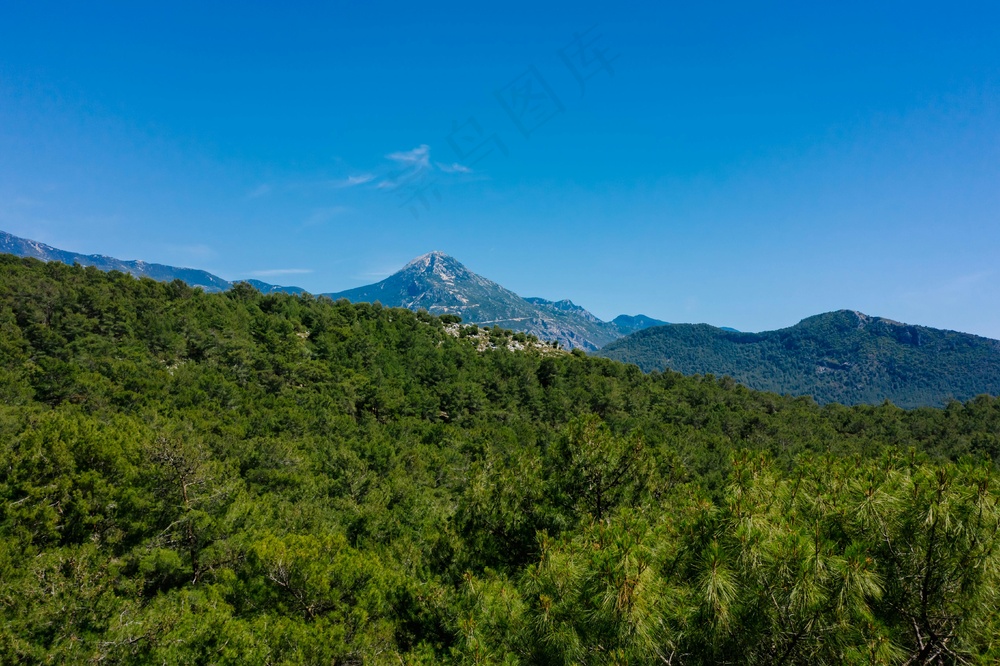静谧山峦：蓝绿森林的清新视角