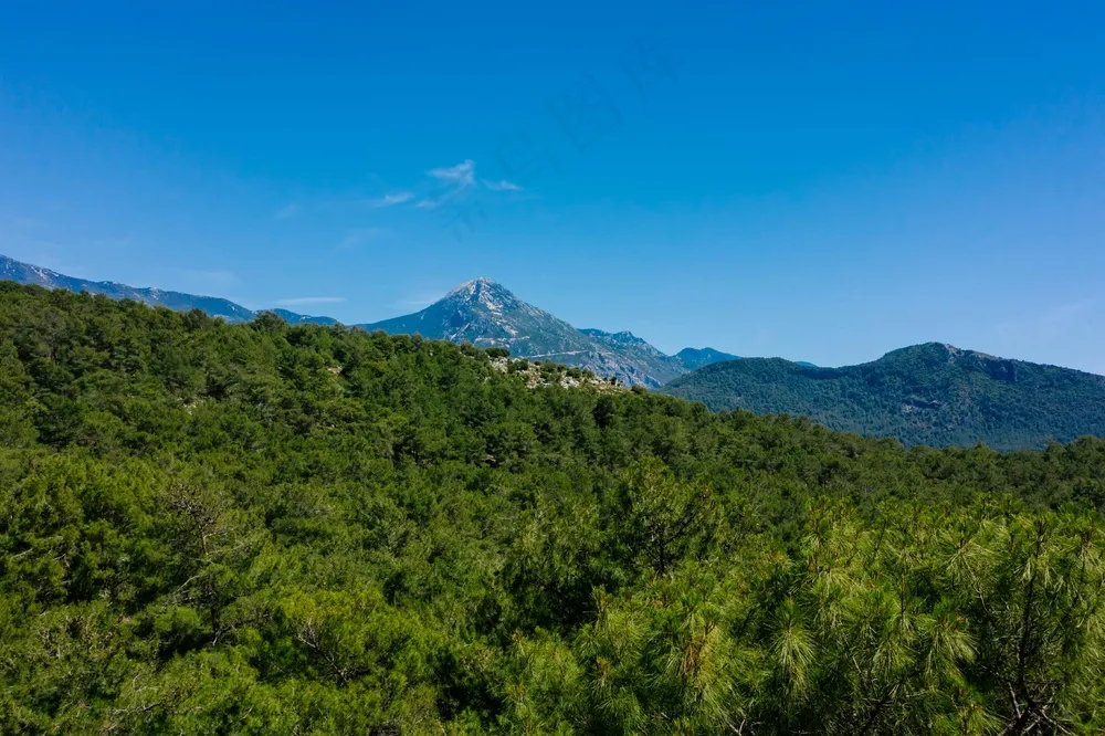 静谧山峦：蓝绿森林的清新视角