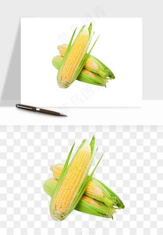 玉米带叶玉米png免抠