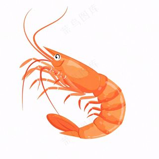 虾基围虾食物海洋卡通插画免抠