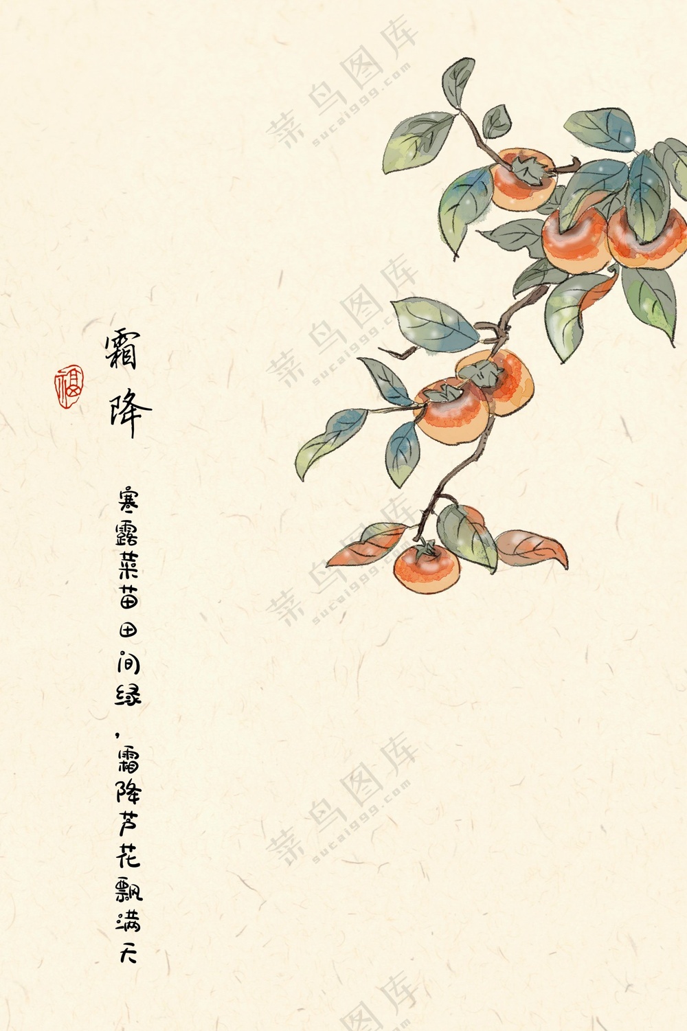 二十四节气 霜降