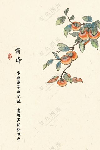 二十四节气 霜降