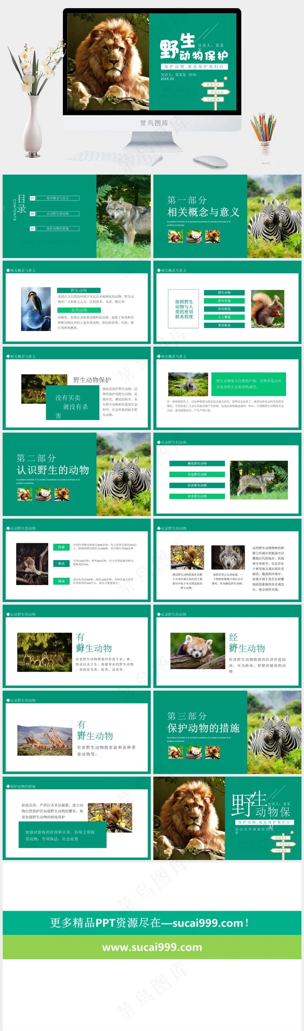 保护野生动物绿色环保PPT