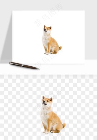 猫咪喵星人狗狗宠物元素png免抠