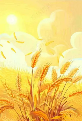 农田里金黄的麦穗稻穗收成卡通插画芒种世界粮食日插画背景