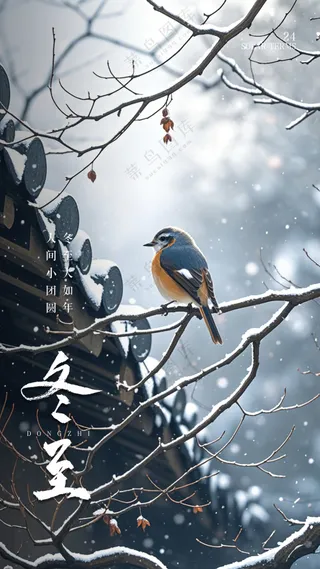 冬至大气唯美节日简约节气海报