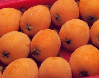 新鲜水果摄影图片 (69)