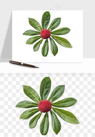 杨梅采摘水果png免抠