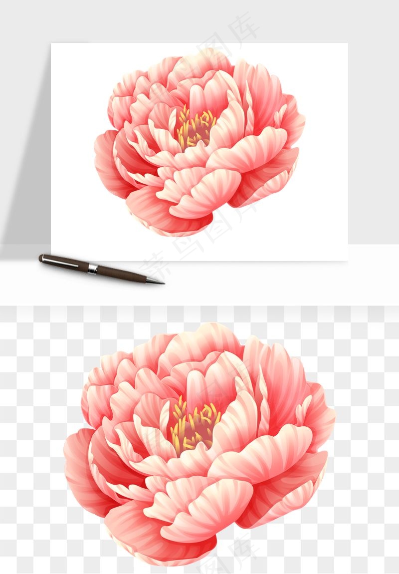手绘国潮牡丹花花卉图案png免抠