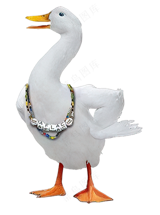 png免抠搞笑有趣动物