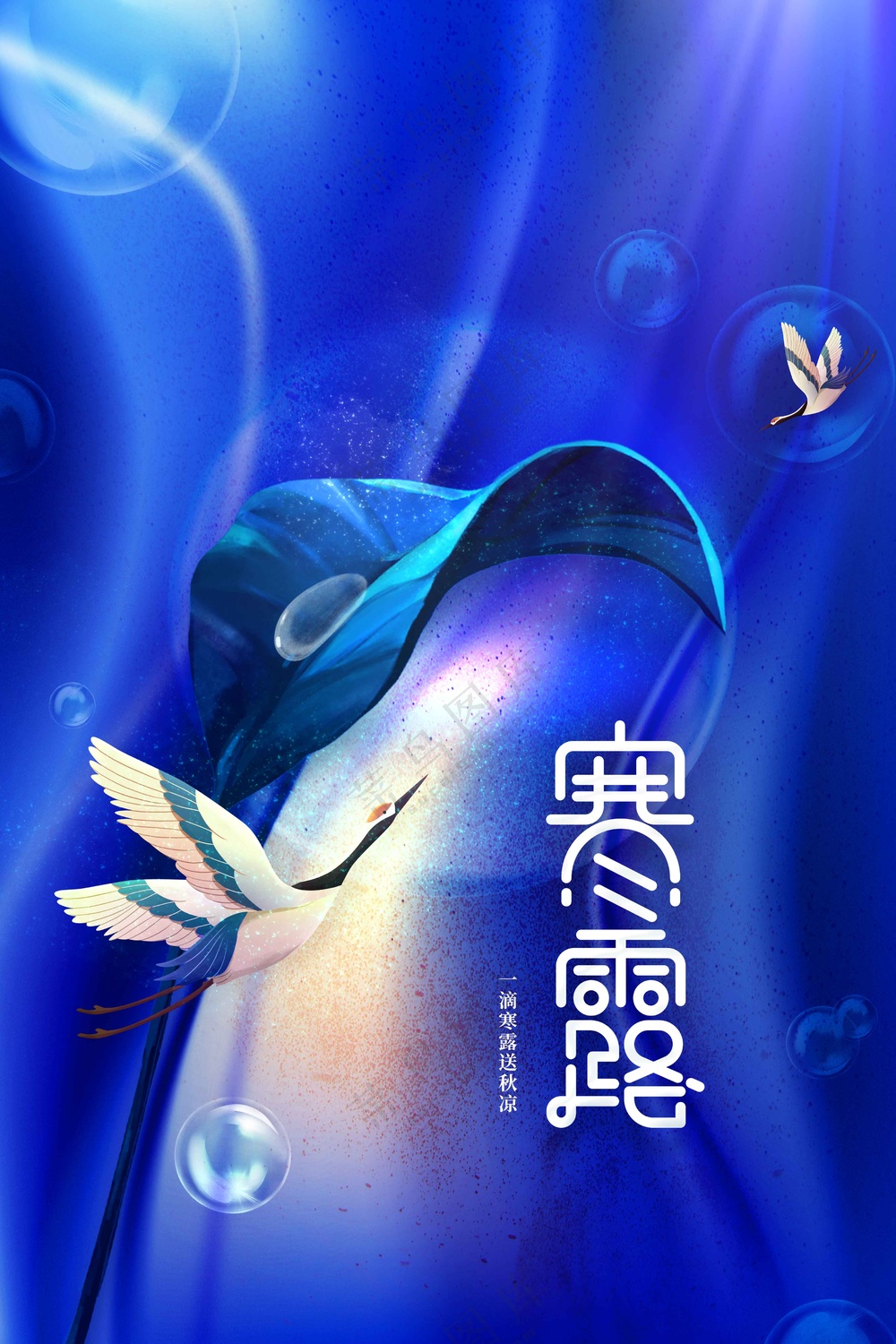 传统寒露节气传统活动海报