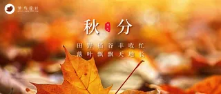 秋分公众号首图