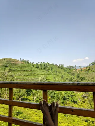 茶园绿意悠闲足·田园自然风·绿蓝休闲图·宁静心灵照