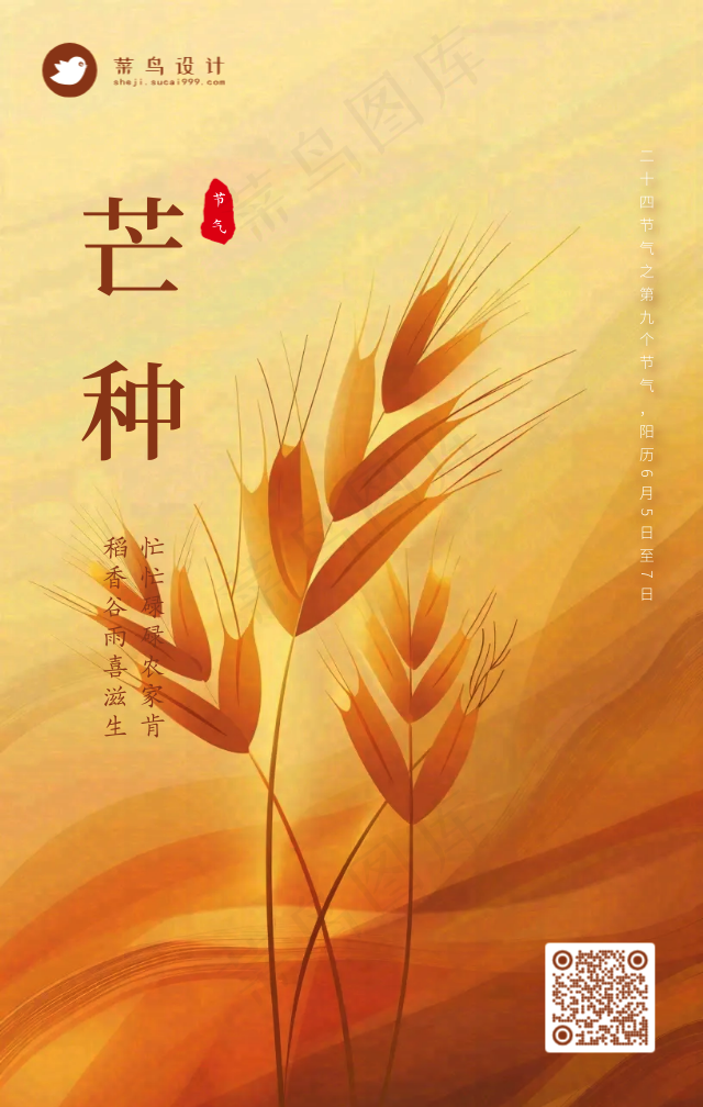 芒种手机海报