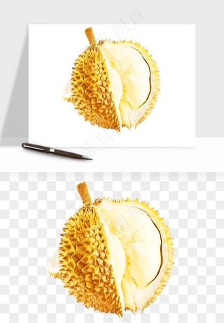 榴莲果肉水果png免抠