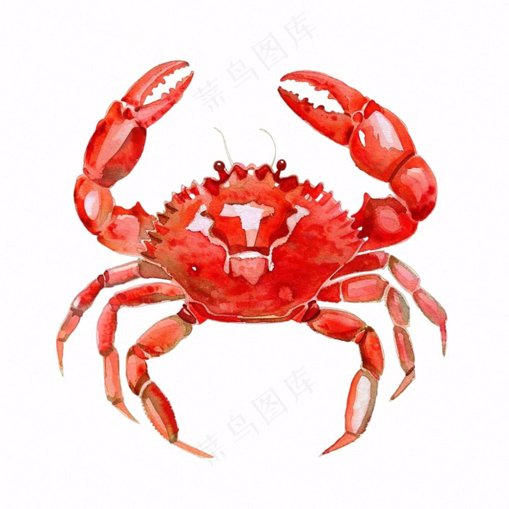 螃蟹海洋动物卡通插画免抠