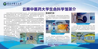 学校海报、中医学、生命科学