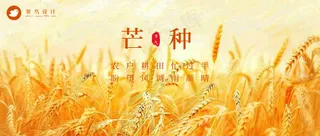 芒种公众号首图