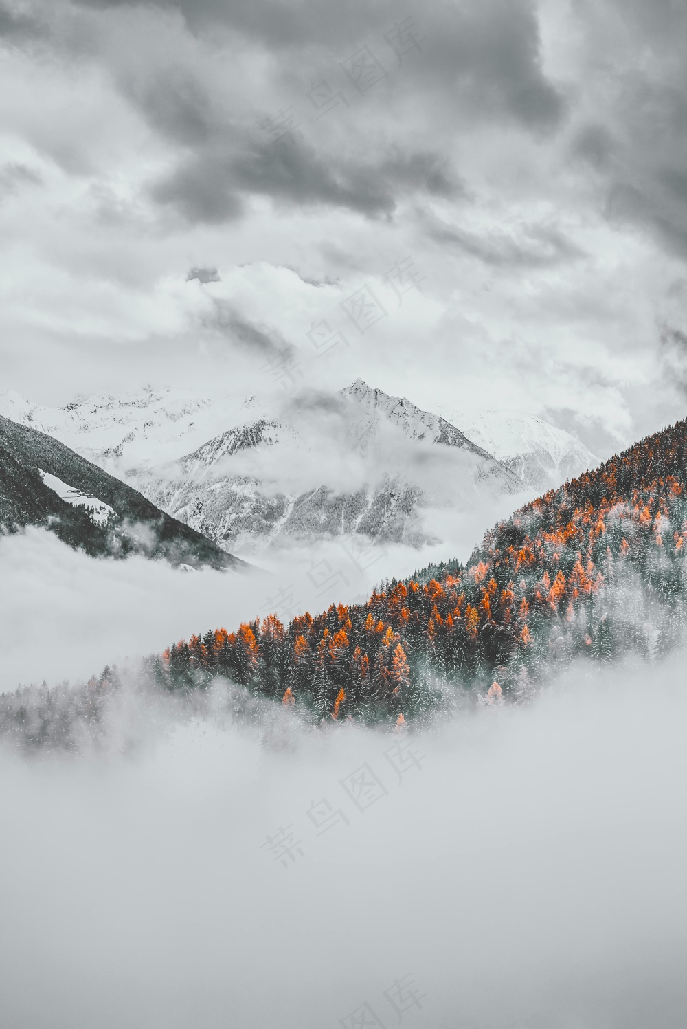 雪谷秋韵静谧图·灰橙自然风景画