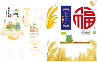 大米汇集   米穗   大米素材｜大米版式   大米礼盒