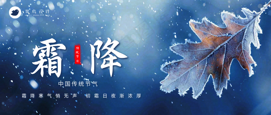 霜降公众号首图