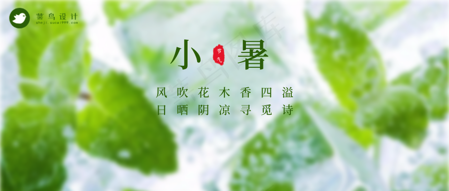 小暑公众号首图
