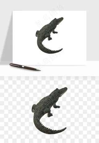 鳄鱼动物png免抠