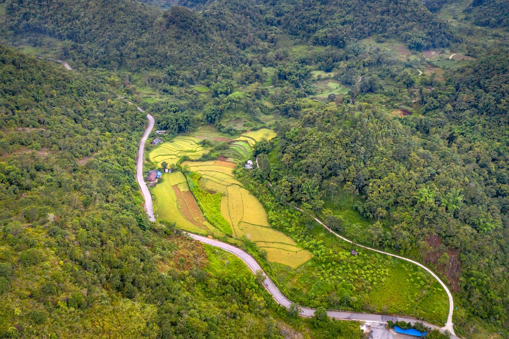 绿意盎然中蜿蜒的乡村道路