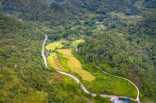 绿意盎然中蜿蜒的乡村道路